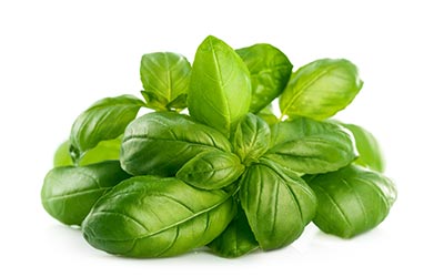 basil